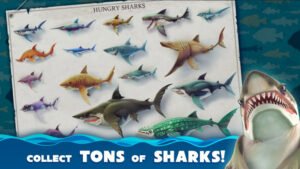 Descargar Hungry Shark World Apk 5.7.6 (Mod, Dinero Infinito) 2024 1